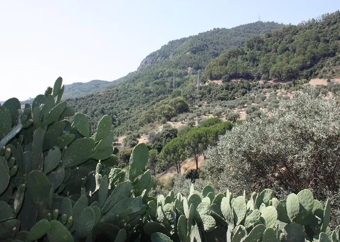 Azienda Agrituristica Le Puzelle